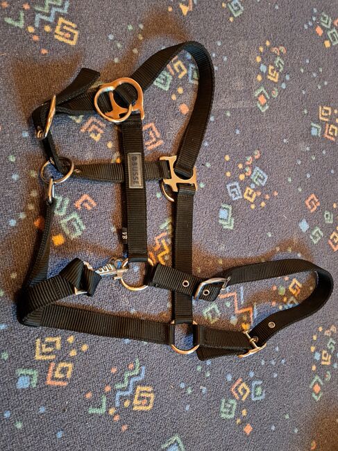 Halfter von Busse zum Reiten, Busse, Elisabeth Eikemeier, Halters, Wedemark