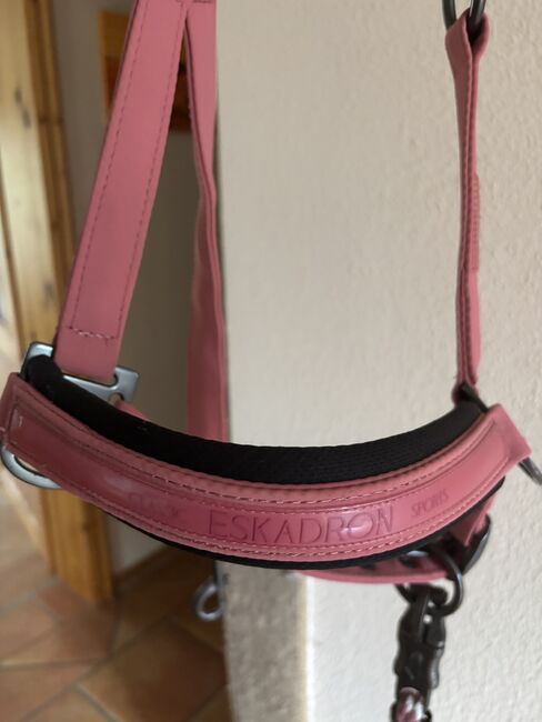 Halfter von Eskadron, Eskadron Classic Sports, Britta Knaack , Halters, Horstedt , Image 8