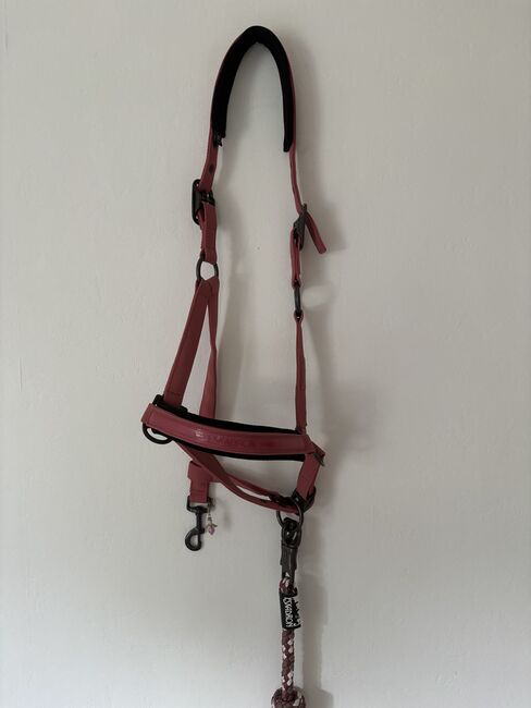 Halfter von Eskadron, Eskadron Classic Sports, Britta Knaack , Halters, Horstedt 