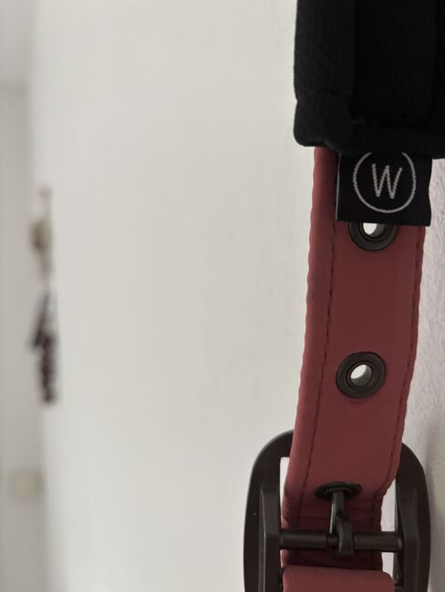 Halfter von Eskadron, Eskadron Classic Sports, Britta Knaack , Halters, Horstedt , Image 4