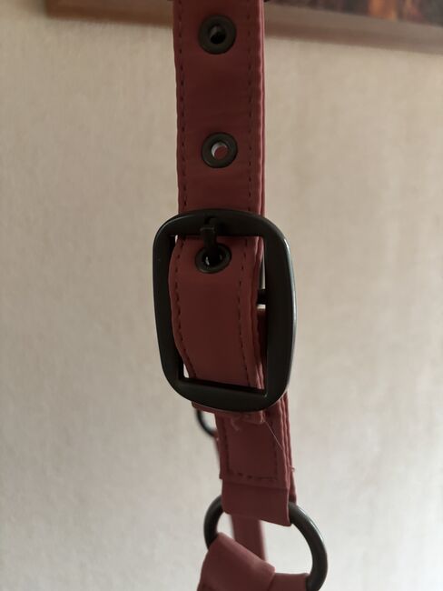 Halfter von Eskadron, Eskadron Classic Sports, Britta Knaack , Halters, Horstedt , Image 6