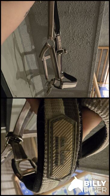 Halfter von Felix Bühler Gr. COB, Ratsch, Halters, Wilkau-Haßlau, Image 3