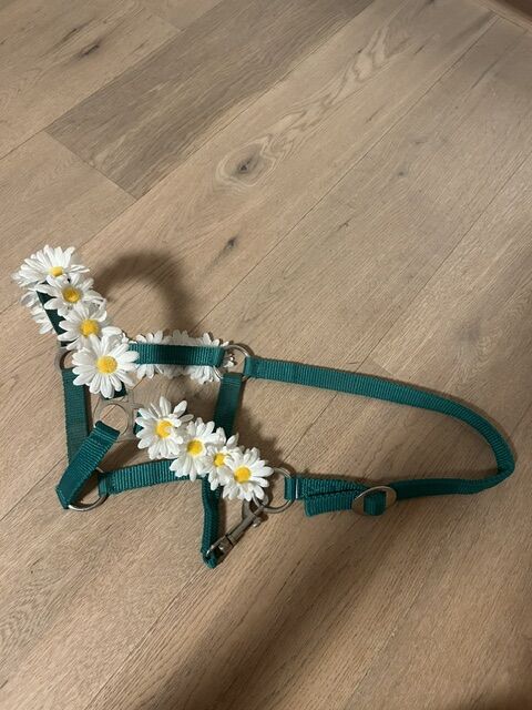 Halfter für Fotoshooting, Stephanie Mathis, Halters, Oerlingen, Image 2