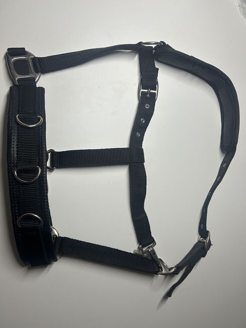 Kappzaum fürs Longieren, Showmaster , Magdalena, Halters, Happurg