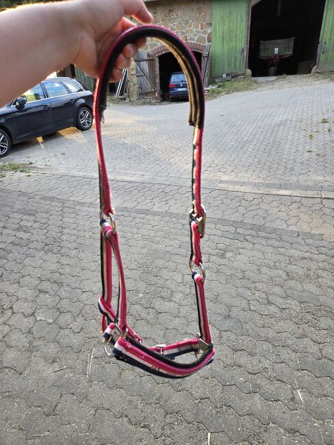 Halfter  WB, Regina , Halters, Vlotho , Image 2