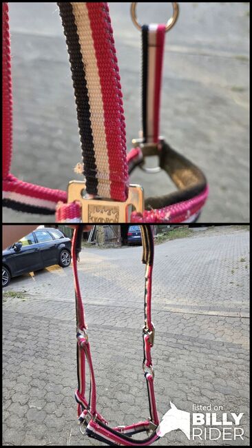 Halfter  WB, Regina , Halters, Vlotho , Image 3