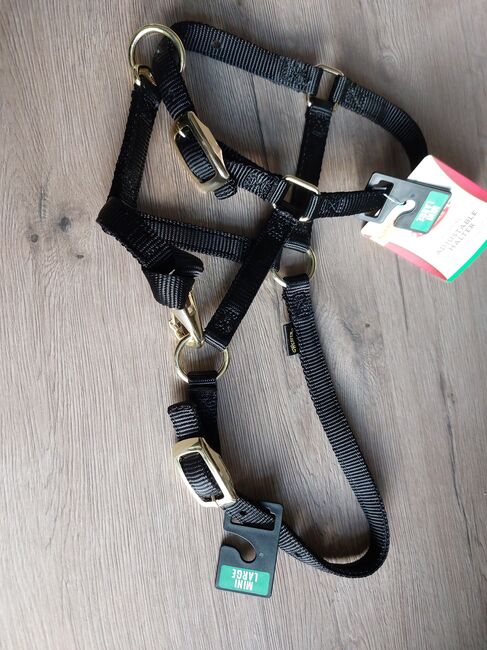 Halfter Weaver Fohlen Mini Shetty schwarz neu, Weaver, JF, Halters, Pressath, Image 3