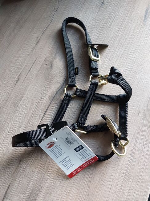 Halfter Weaver Fohlen Mini Shetty schwarz neu, Weaver, JF, Halters, Pressath, Image 2