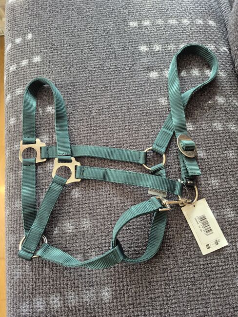 Halfter XF dunkelgrün, Showmaster , MR, Halters, Frankfurt 