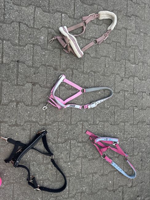 Halfter neuwertig, Krämer, Jolina Lehner, Halters, Neustadt an der Weinstraße