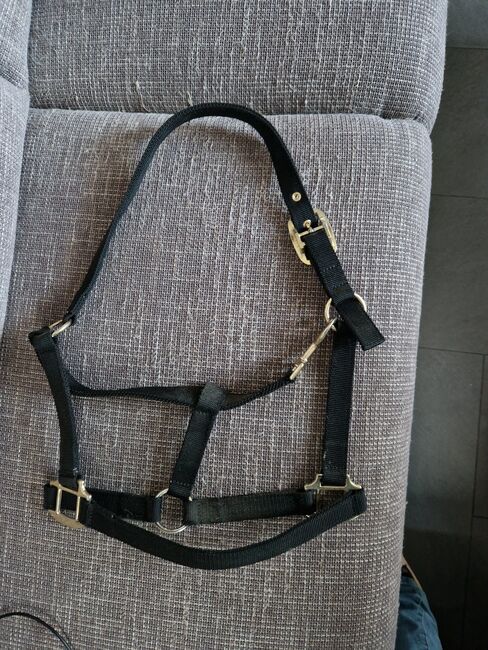 Halfter schwarz full neu, K. Werner, Halters, Westerwalsede