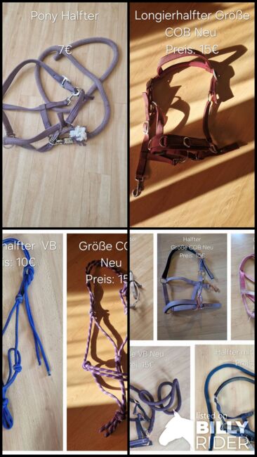 Halfter Größe COB und Pony, Christina Karger , Halters, Balingen , Image 5