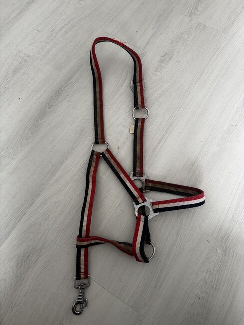 Halfter Gr. Cob, Celine Baum, Halters, Taunusstein 