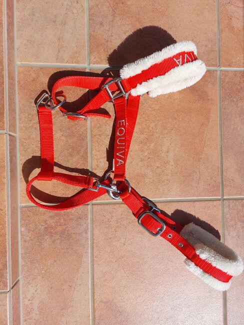 Halfter Gr. Full, Victoria, Halters, Puch bei Hallein