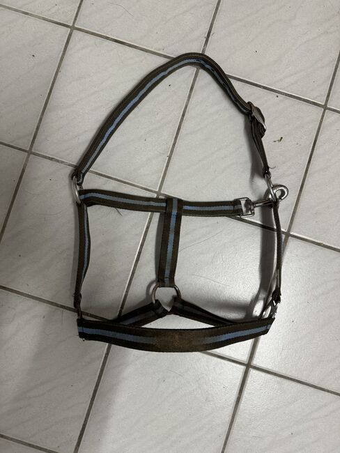 Halfter Gr. Pony, Celine Baum, Halters, Taunusstein 