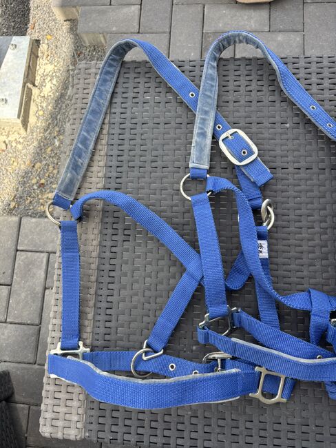 Halfter Paket Größe Wb, Denise, Halters, Kyllburg