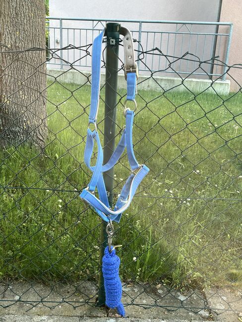 Halfter Set blau, Steeds , Ramona, Halters, Gunzenhausen