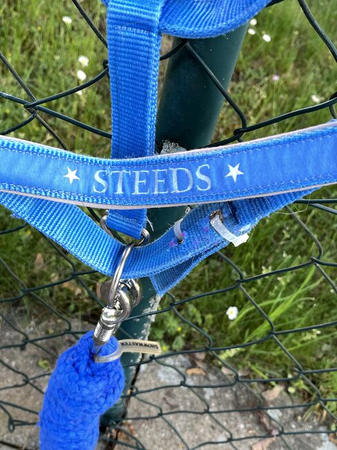 Halfter Set blau, Steeds , Ramona, Halters, Gunzenhausen, Image 5
