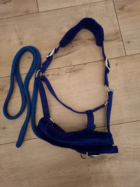 Halfter blau Glitzer Fell WB mit Strick, Gina, Halters, Lamstedt