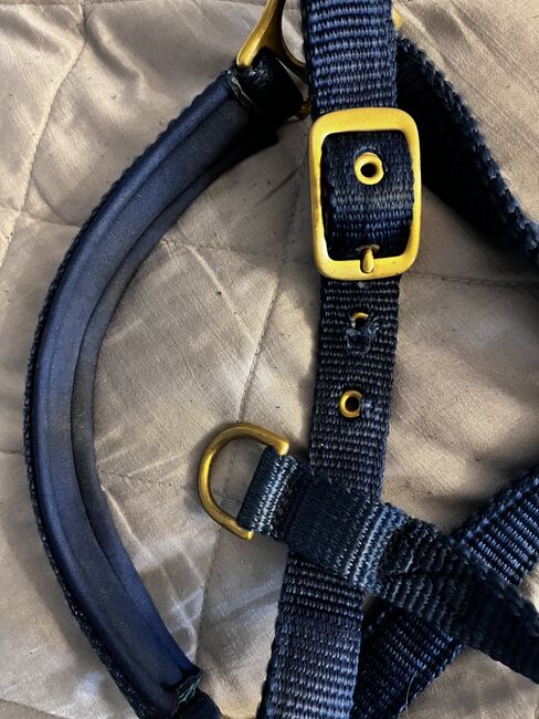 Halfter blau, besonderes Design, DWingenfeld, Halters, Menden, Image 5