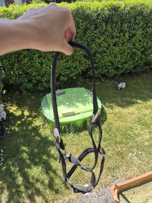 Halfter schwarz, Tamara O., Halters, Windisch