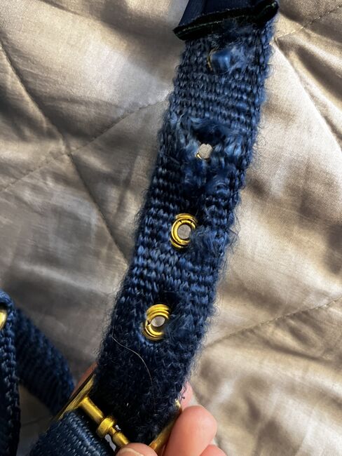 Halfter blau, besonderes Design, DWingenfeld, Halters, Menden, Image 4