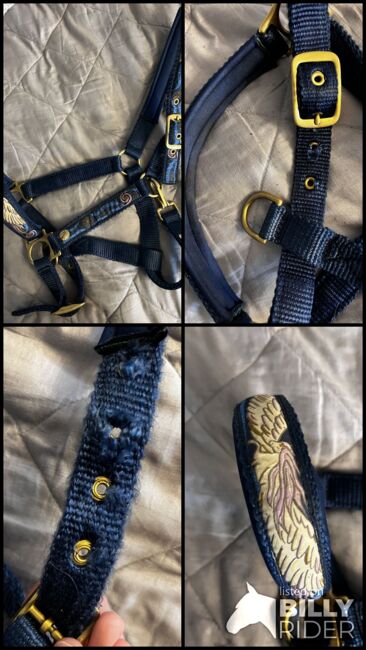 Halfter blau, besonderes Design, DWingenfeld, Halters, Menden, Image 6