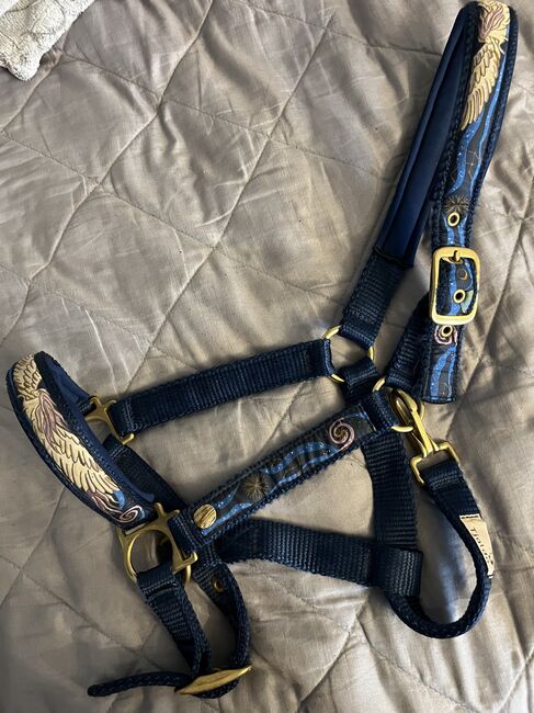Halfter blau, besonderes Design, DWingenfeld, Halters, Menden