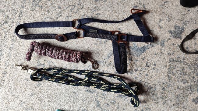 Halfter (Cob) und schön gemusterte Stricke, A. Schön, Halters, Karben