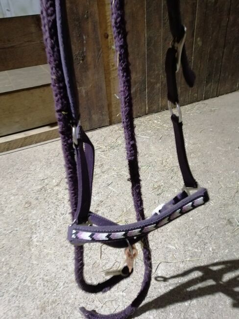 halfter cob, halfter, Jana, Halters, mudersbach 