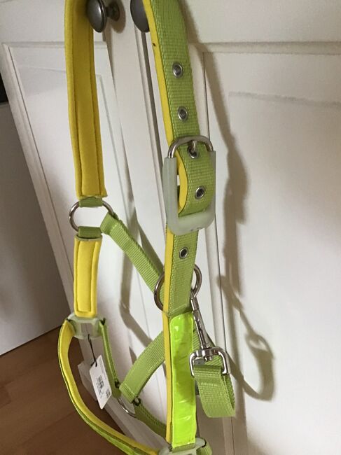 Halfter Cob Neu, Waldhausen, Iris , Halters, Borken/Hessen, Image 2