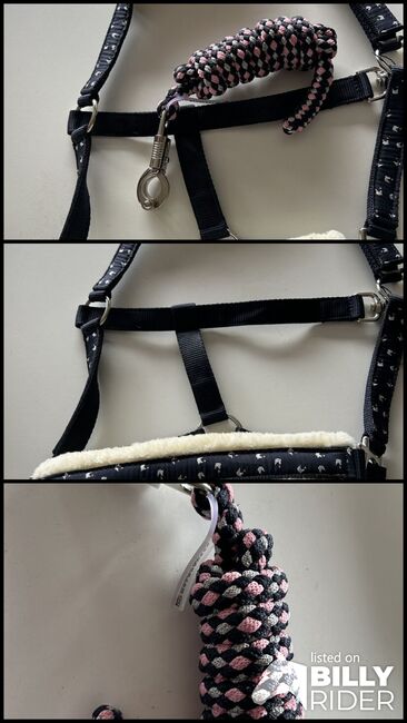 Halfter COB mit Strick, Sandra, Halters, Weitersborn , Image 4