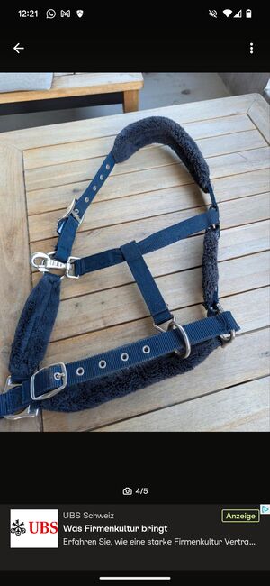 Halfter Dunkelblau, Beatrice , Halters, Basel , Image 4