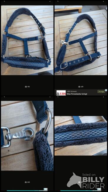 Halfter Dunkelblau, Beatrice , Halters, Basel , Image 6