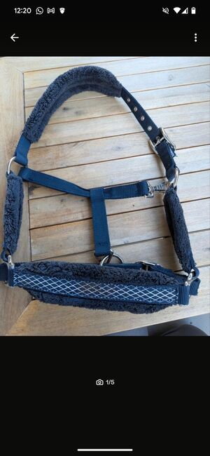 Halfter Dunkelblau, Beatrice , Halters, Basel 