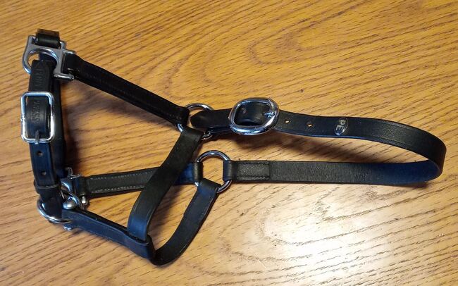 Fohlenhalfter, 2x Leder + 2x Nylon, Annette Peterlick, Kantary, Dischingen