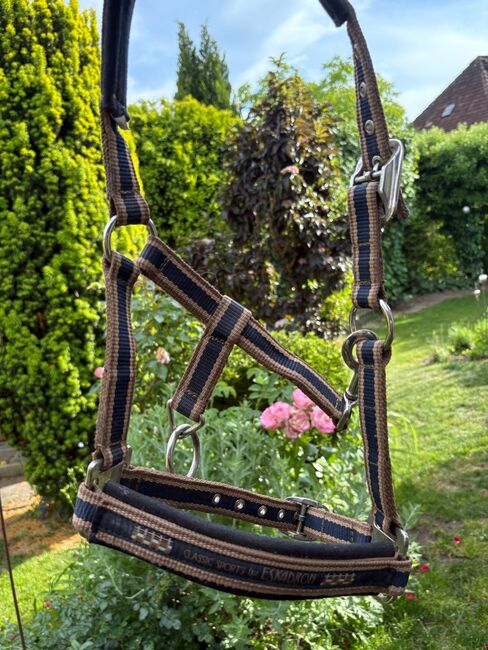 Halfter Eskadron, Eskadron, Desiree Adam, Halters, Oberteuringen