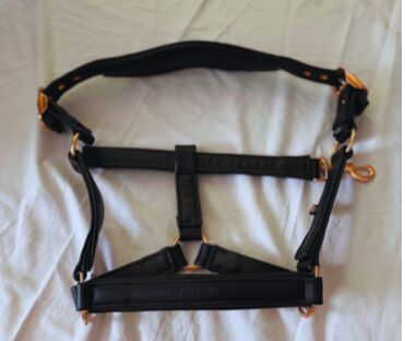 Halfter, ESKADRON, Neu, Eskadron, A. Weigel, Halters, Bad Homburg