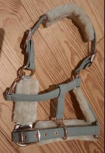 Halfter Eskadron P2, Franzi, Halters, Ebsdorfergrund