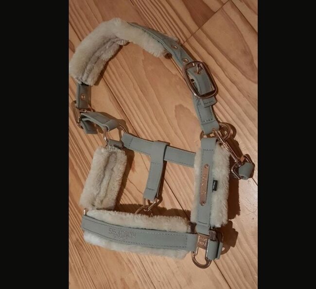 Halfter Eskadron P2, Franzi, Halters, Ebsdorfergrund, Image 3