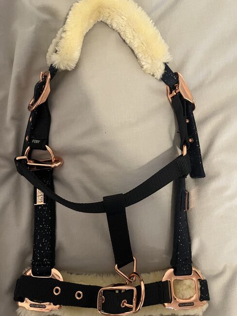 Halfter Felix Bühler, Felix Bühler , Hedy, Halters, Ulm, Image 5