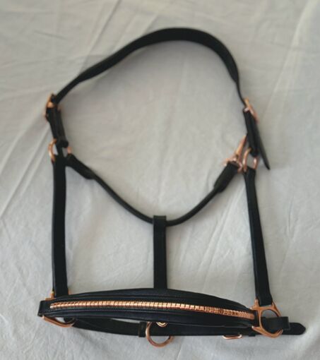 Halfter, Felix Bühler, sehr gut erhalten, Felix Bühler, A. Weigel, Halters, Bad Homburg