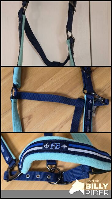 Halfter Felix-Bühler, dick gepolstert,  NEU, Felix Bühler, Steph, Halters, Köln, Image 4