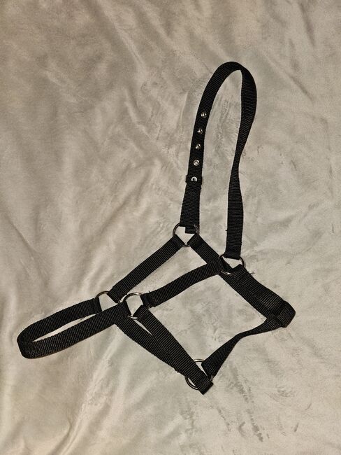 Halfter Fohlen, schwarz, neu, Nicole, Halters, Anderlingen