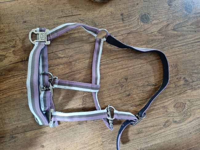 Halfter für Großpferd, Franziska Ortmüller , Halters, Lennestadt