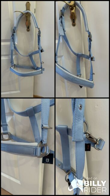 Halfter von Covalliero, Covalliero, Katrin, Halters, Wien, Meidling, Image 5