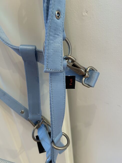 Halfter von Covalliero, Covalliero, Katrin, Halters, Wien, Meidling, Image 3