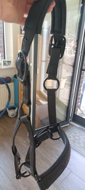 Halfter von Eskadon, Eskadron, Verena Janßen , Halters, Straelen 