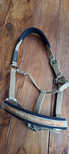 Halfter von Kieffer WB, Kieffer Halfter, Manu, Halters, Stendal