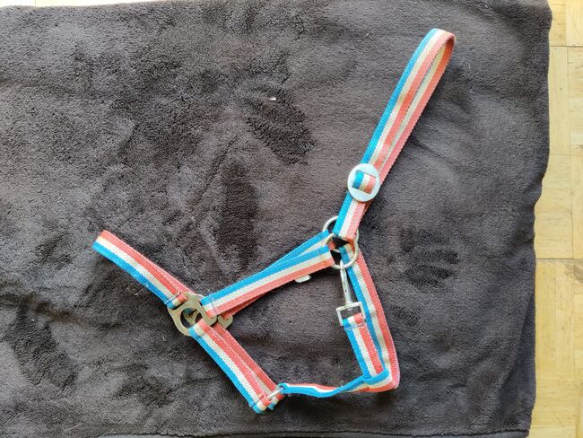 Halfter Full Holstein, Finja Gottke, Halters, Klein Nordende